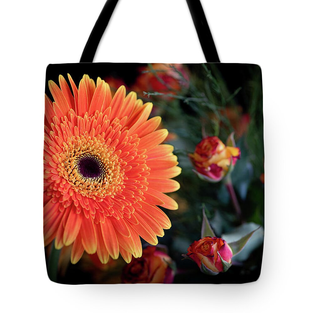 Daisies Tote Bag featuring the photograph Fresh beautiful orange daisy flower blossom. Blooming flower by Michalakis Ppalis