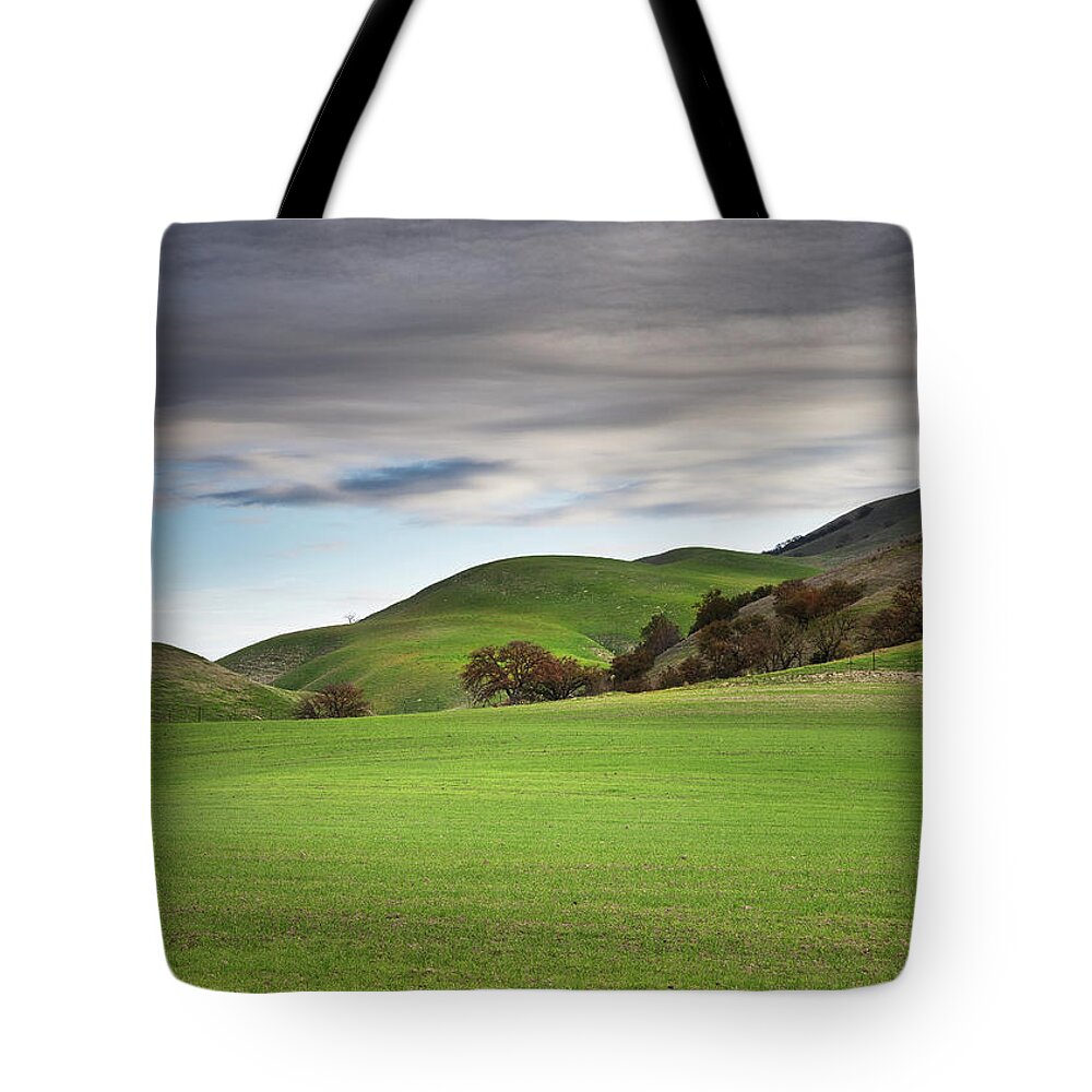 San Miguel Tote Bag featuring the photograph Fresh Grass in San Miguel by Lars Mikkelsen