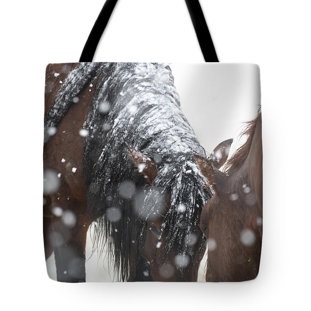 Wild Horses In Snow Tote Bag featuring the photograph Friends in the Snow by Mary Hone