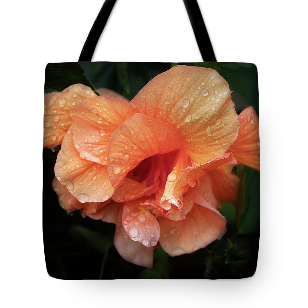 Flower Tote Bag featuring the photograph Frills by M Kathleen Warren