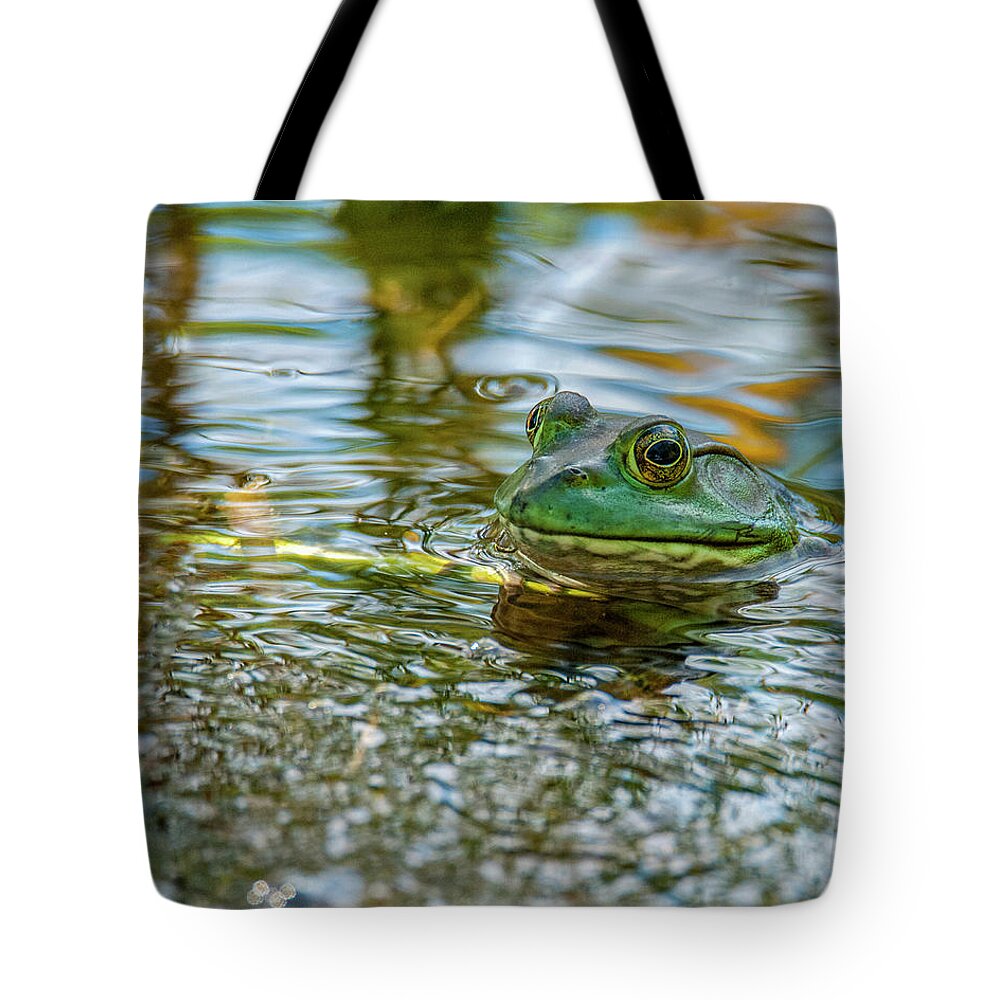 Amphibian Tote Bag featuring the photograph Frog by Cathy Kovarik
