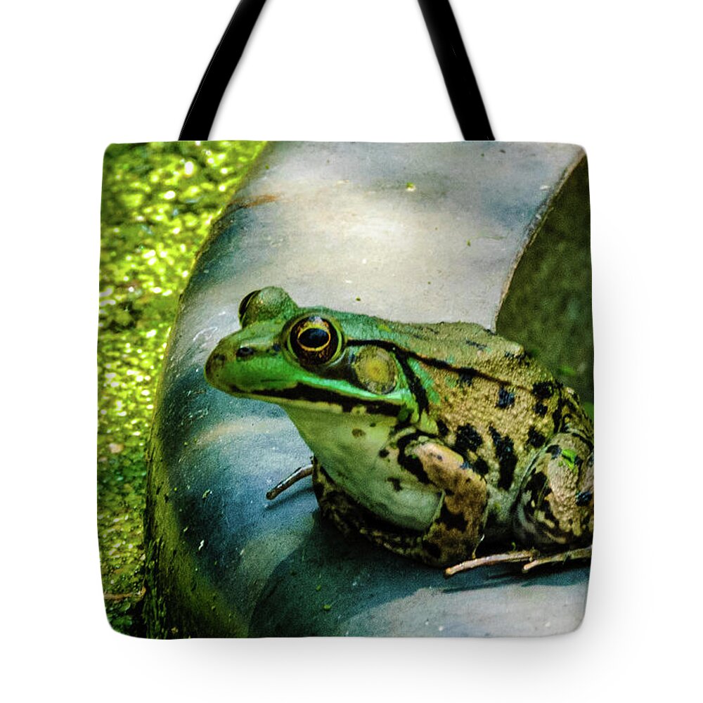 Animals Tote Bag featuring the photograph Frog Hollow by Louis Dallara