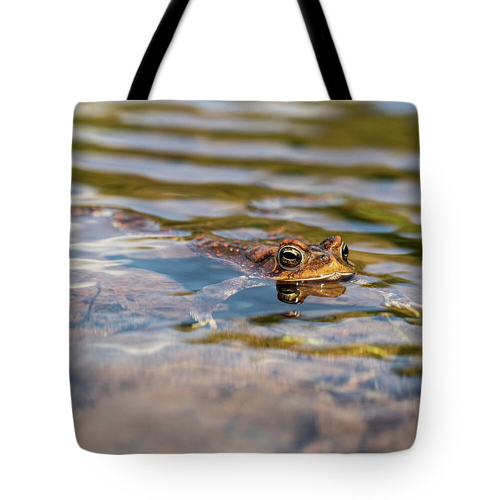 Frog Tote Bag featuring the photograph Frog in the Pond 2 by Amelia Pearn