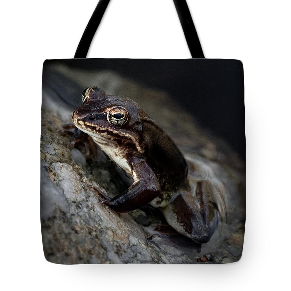 Spring Tote Bag featuring the photograph Frog Legs by Linda Bonaccorsi