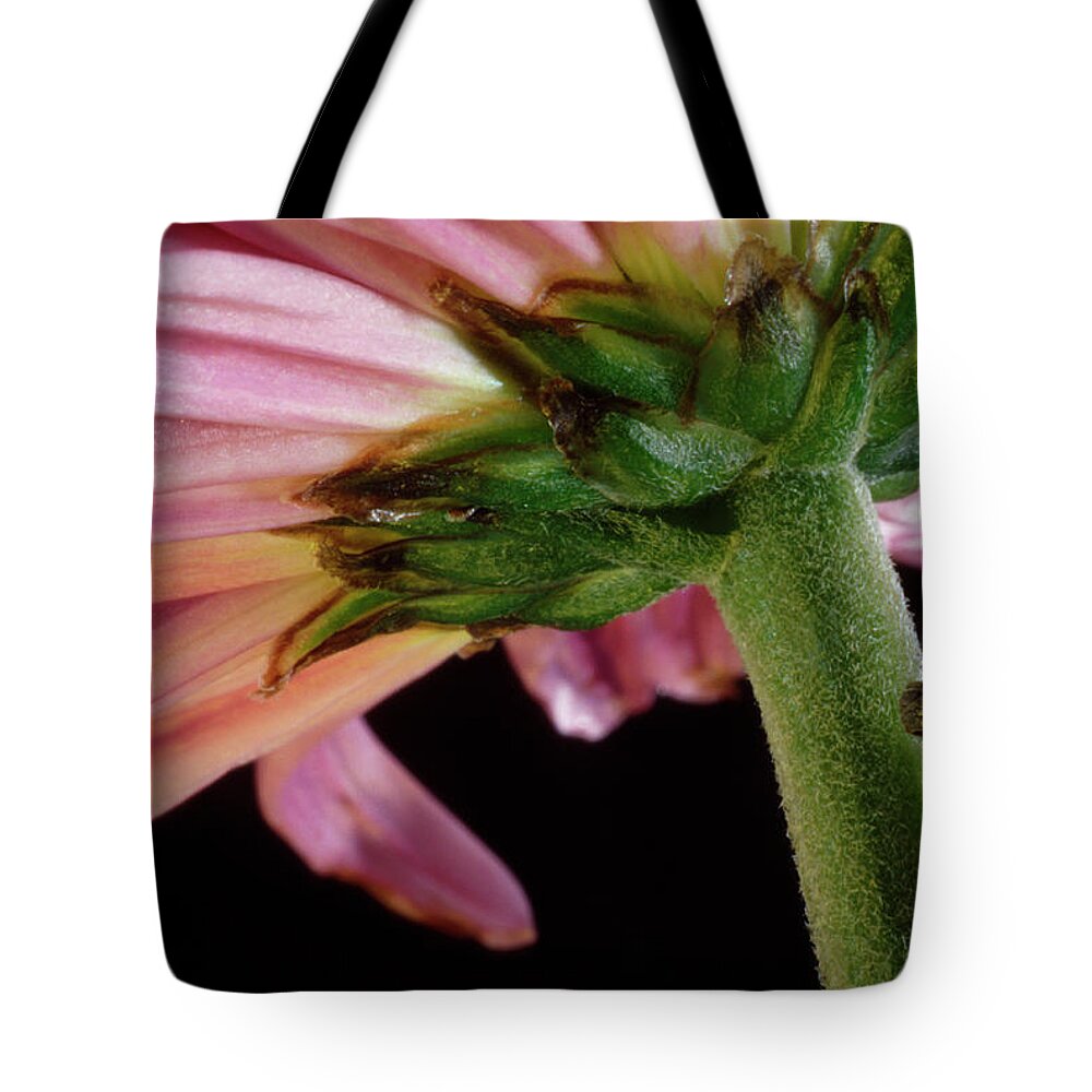 Flower Tote Bag featuring the photograph From Below by Melissa Southern