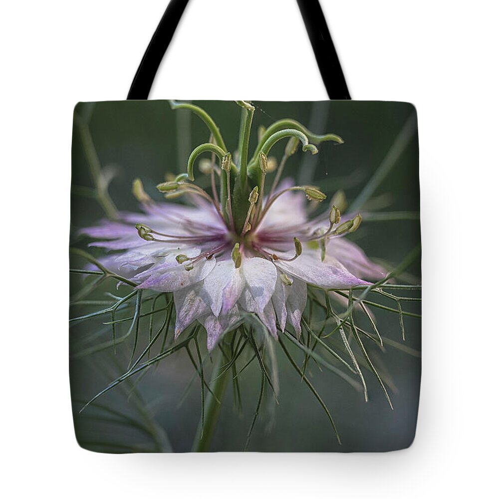 Maryland Tote Bag featuring the photograph From The Garden 3 by Robert Fawcett