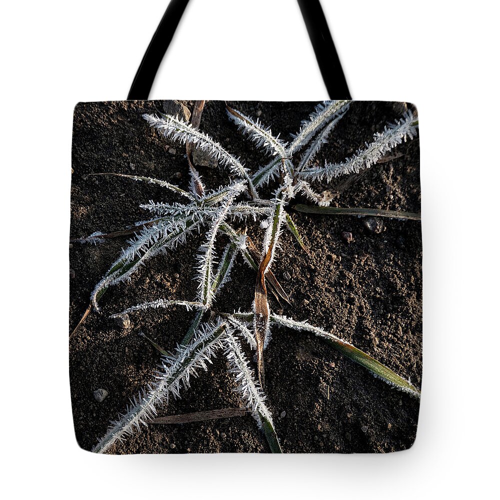 Frost Tote Bag featuring the photograph Frost On Crabgrass by Karen Rispin