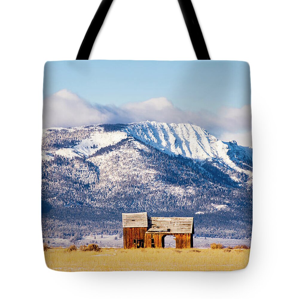 Abandoned Tote Bag featuring the photograph Frosty and Weathered by Mike Lee