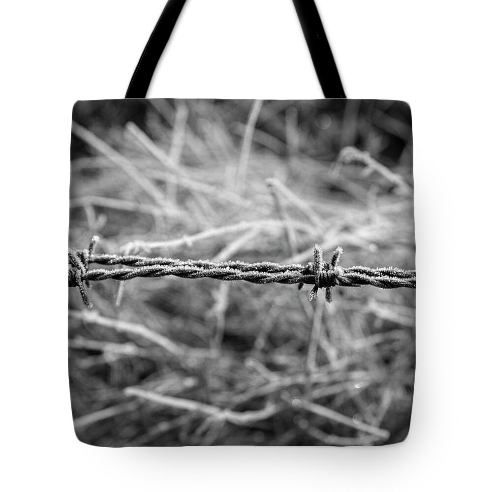 Barbed Tote Bag featuring the photograph Frosty Barbs by Daniel M Walsh