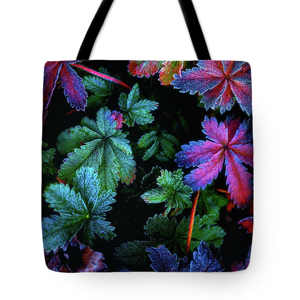 Frost Tote Bag featuring the photograph Frosty Fall by Darren White