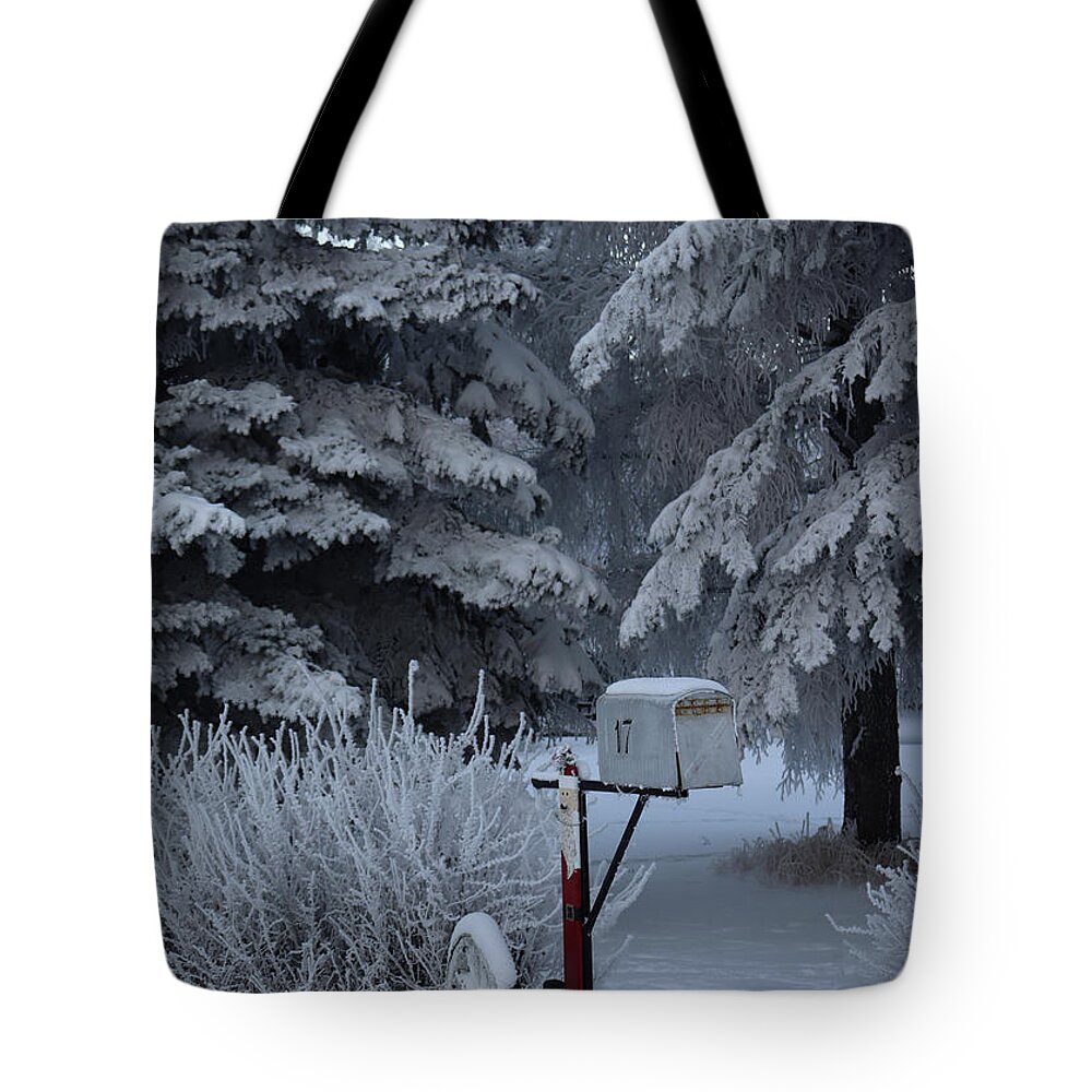 Mailbox Tote Bag featuring the photograph Frosty mailbox by Lisa Mutch