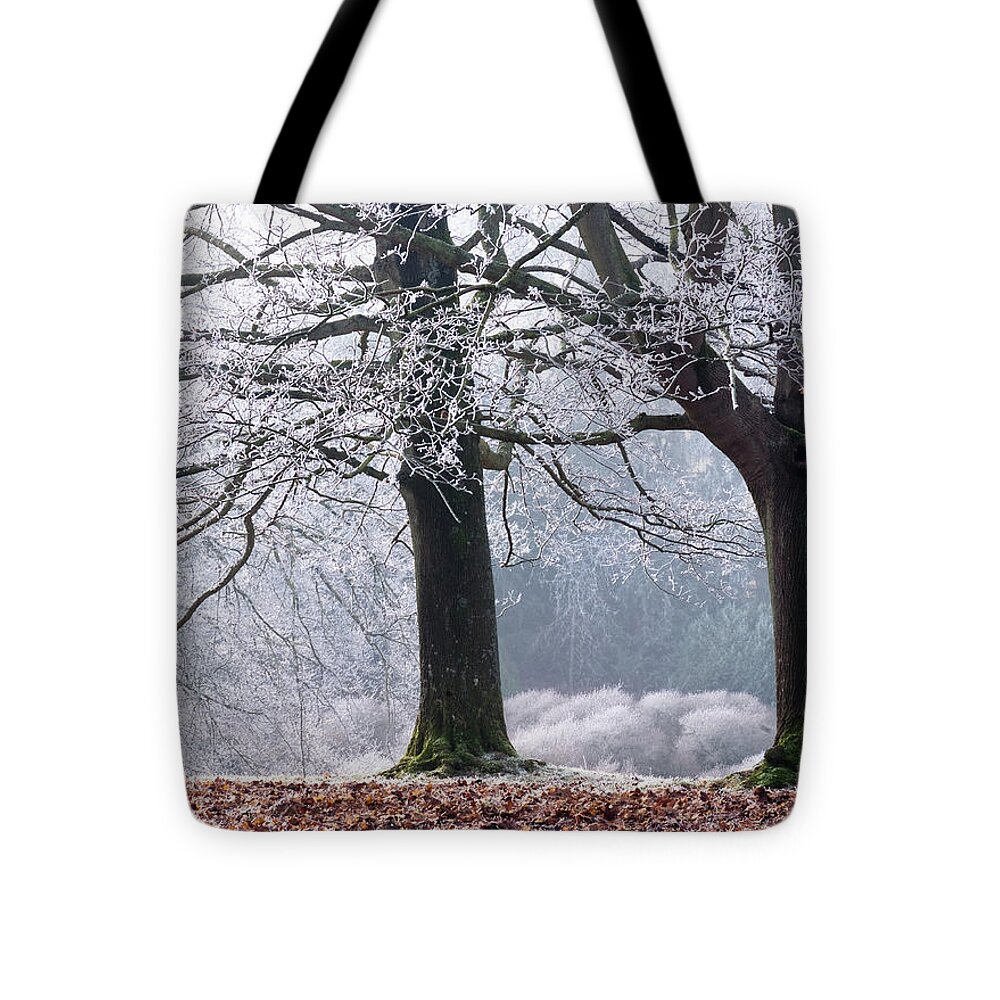 Winter Tote Bag featuring the photograph Frosty Trees at Westonbirt Arboretum, Gloucestershire, England, UK by Sarah Howard