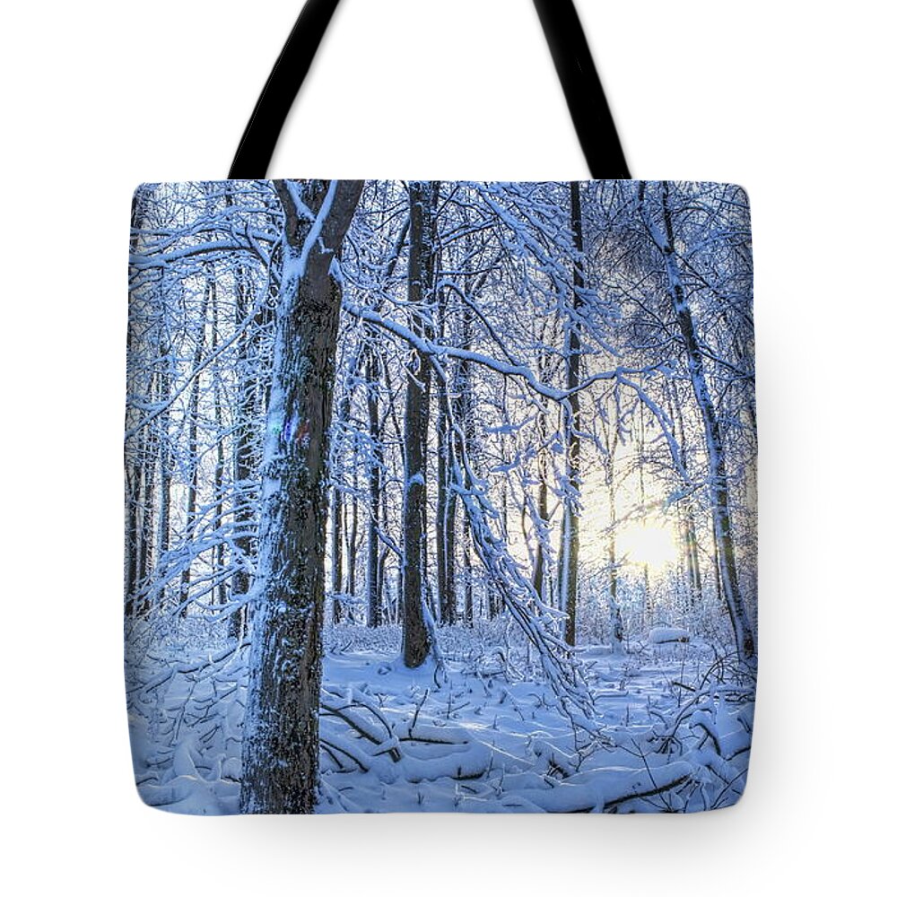 Winter Tote Bag featuring the photograph Frozen Blazing Sun by Dale Kauzlaric