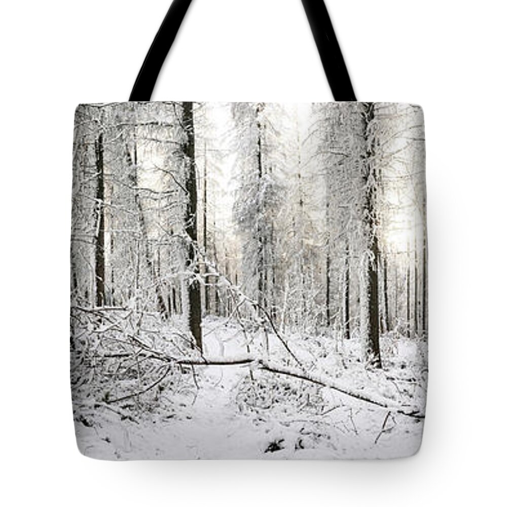 Panorama Tote Bag featuring the photograph Frozen English Woodland covered in Snow by Sonny Ryse