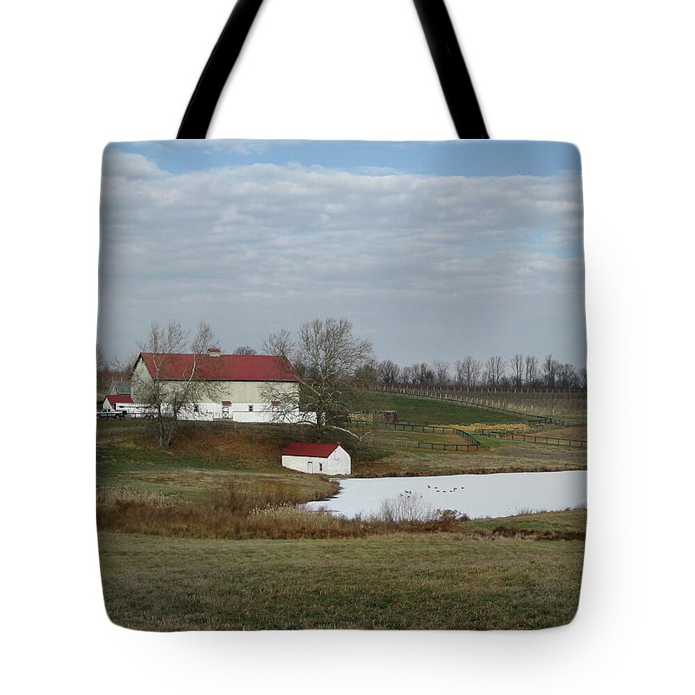 Brandywine Tote Bag featuring the photograph Frozen Pond by Gordon Beck