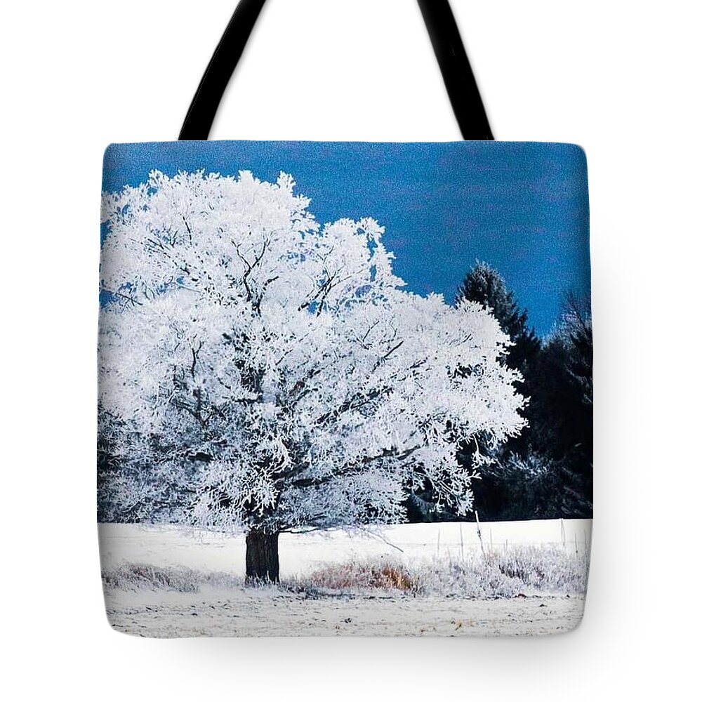  Tote Bag featuring the photograph Frozen Tree by Windshield Photography