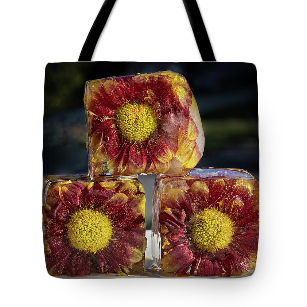 Flower Tote Bag featuring the photograph Frozen Trio by Elvira Peretsman