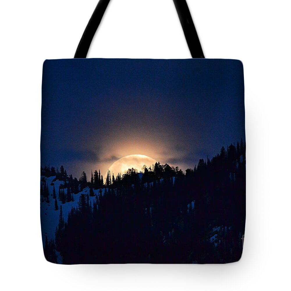 Full Moon Tote Bag featuring the photograph Full Flower Moon #4 by Dorrene BrownButterfield