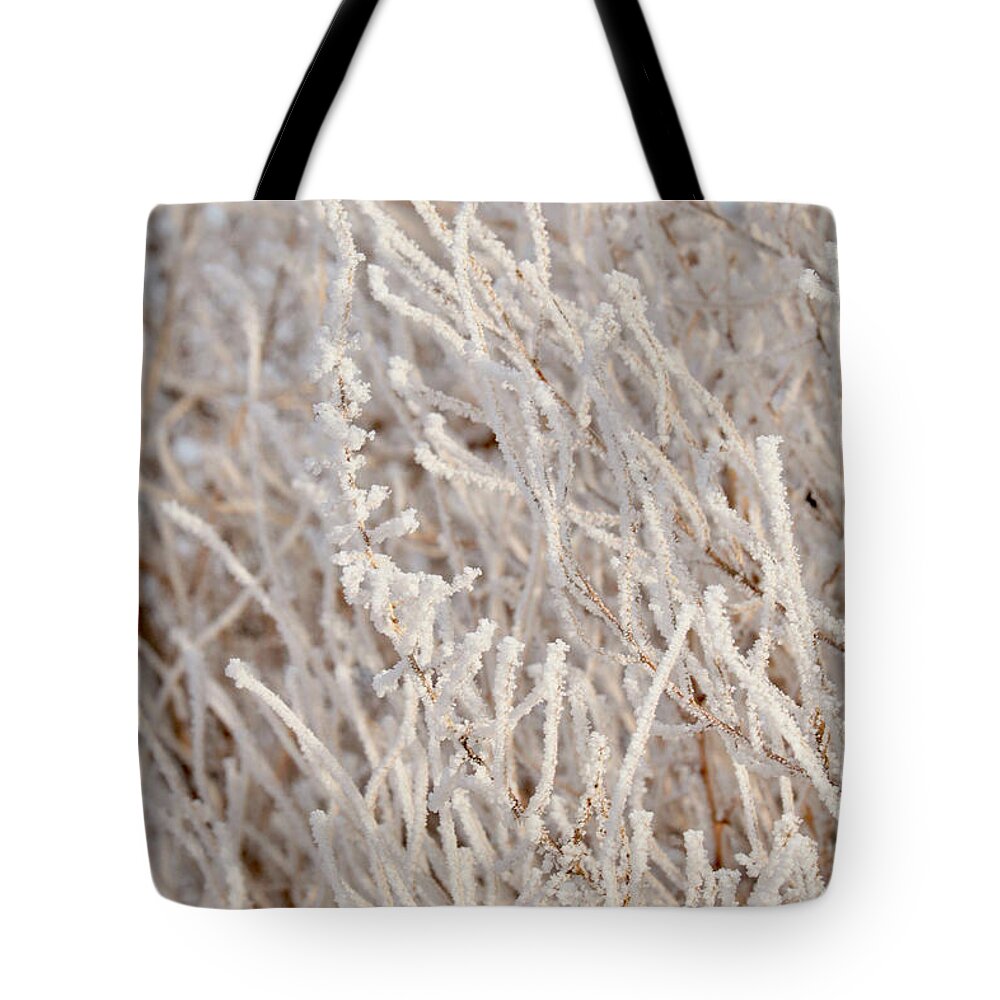 Winter Tote Bag featuring the photograph Full of Frost by Carol Groenen