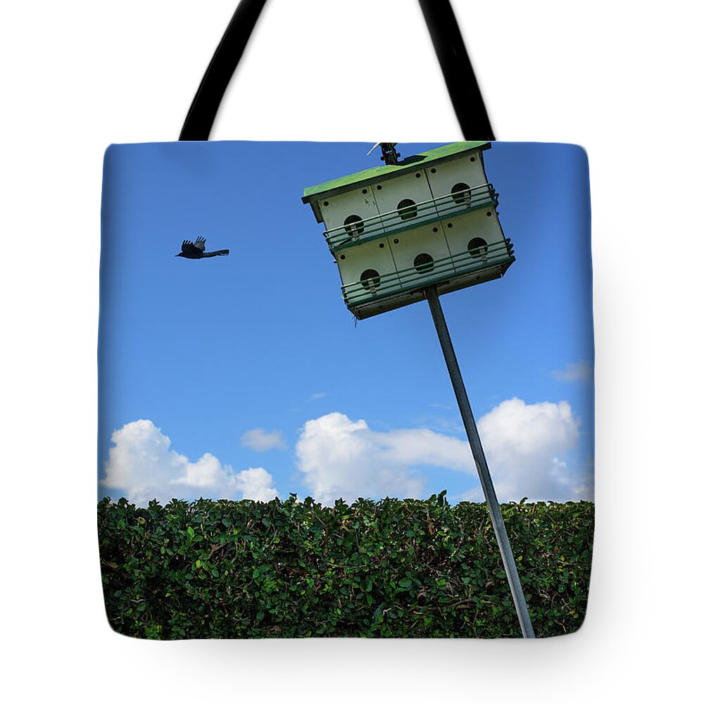 Animals Tote Bag featuring the photograph Full Tilt Living by Laura Fasulo