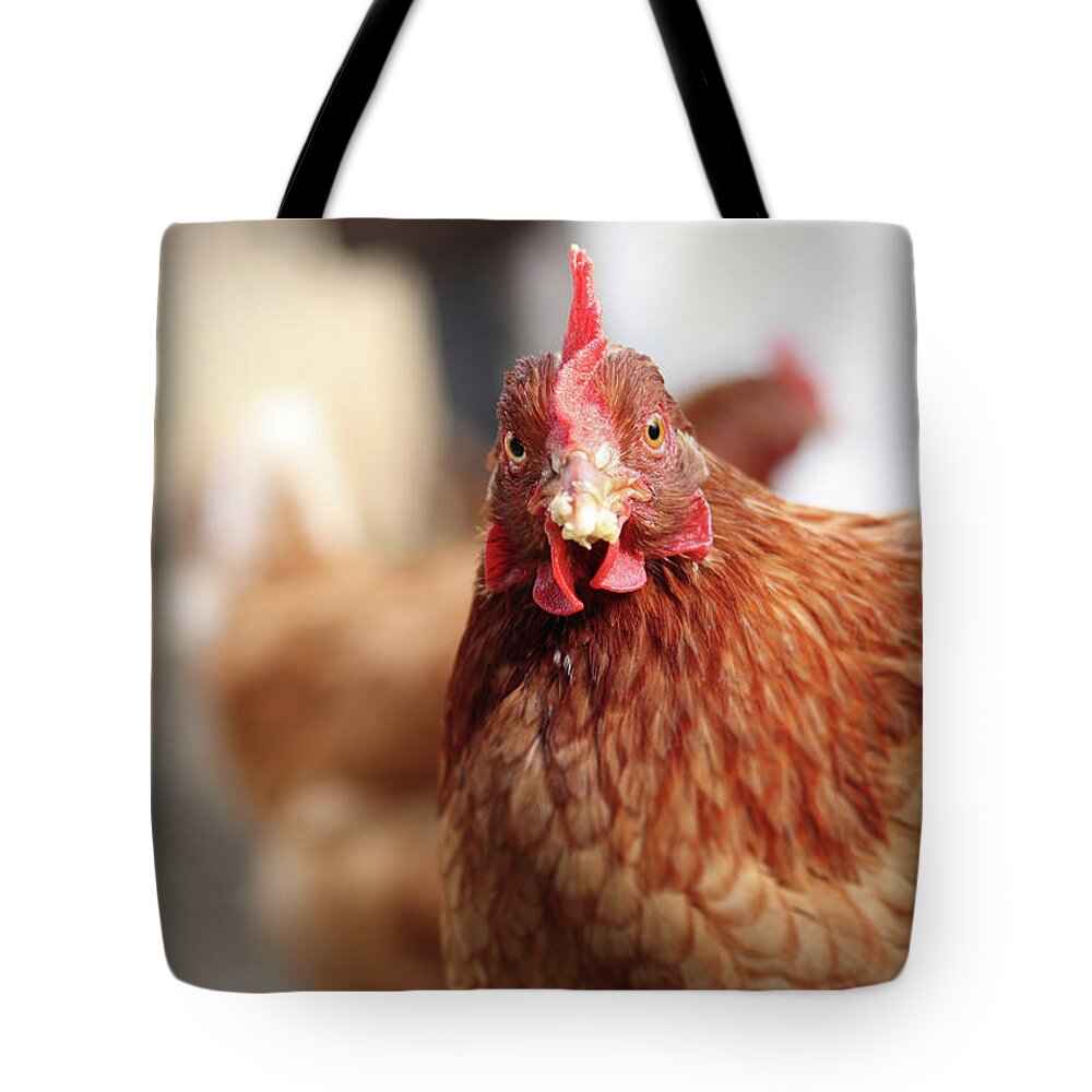 Salute Tote Bag featuring the photograph Funny expression of domestic hen on the garden by Vaclav Sonnek