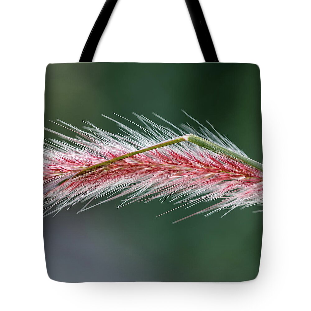 Grass Tote Bag featuring the photograph Fuzzy Grass by David Beechum