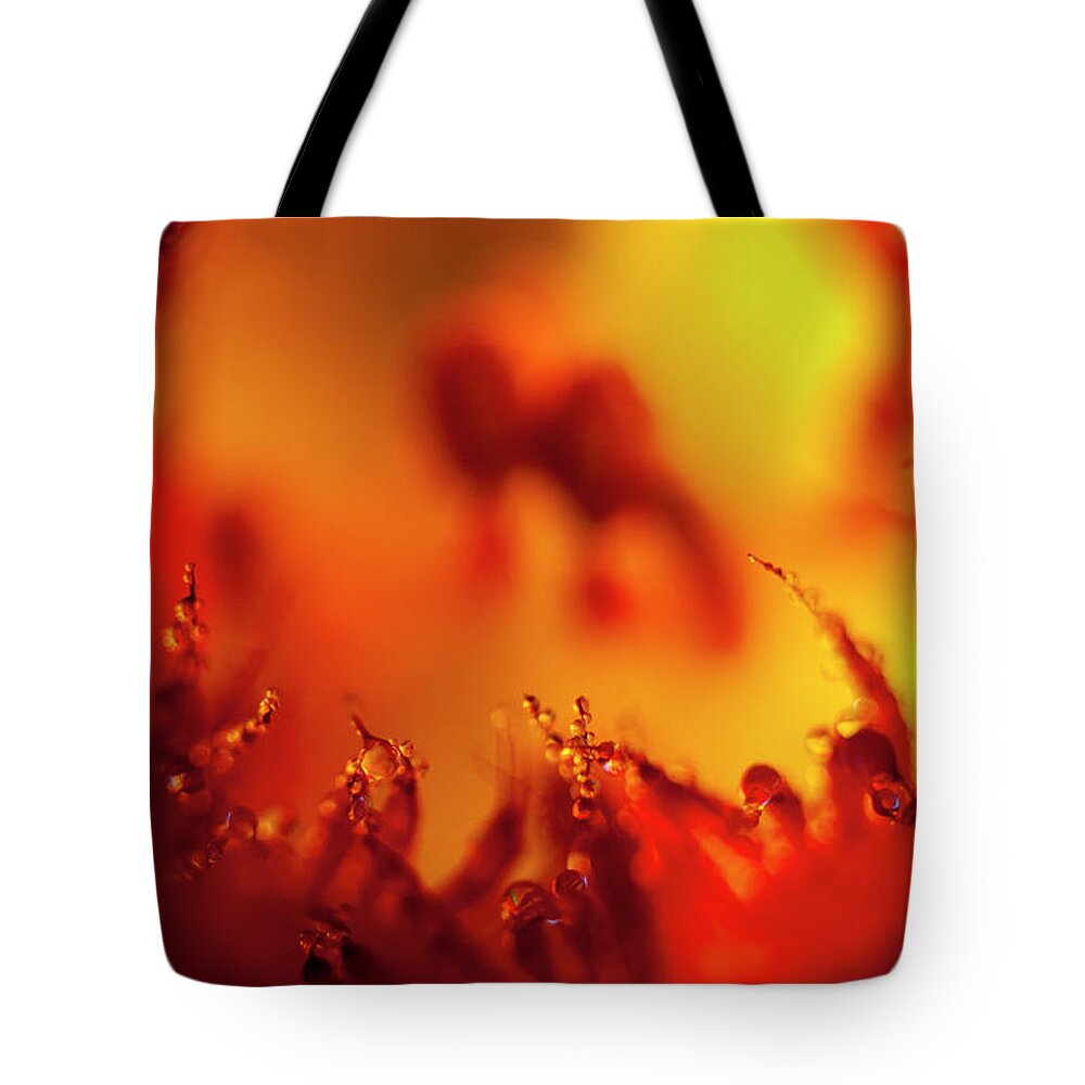 Abstract Tote Bag featuring the photograph Garden Gateway by Robert Potts