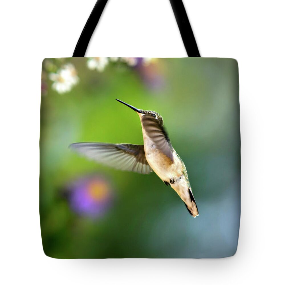 Bird Tote Bag featuring the photograph Garden Hummingbird by Christina Rollo