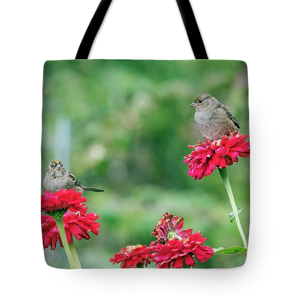 Kmaphoto Tote Bag featuring the photograph Garden Sparrow Pair by Kristine Anderson
