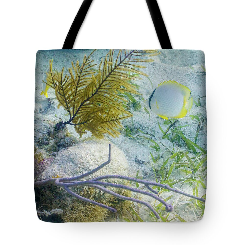 Animals Tote Bag featuring the photograph Garden Spot by Lynne Browne