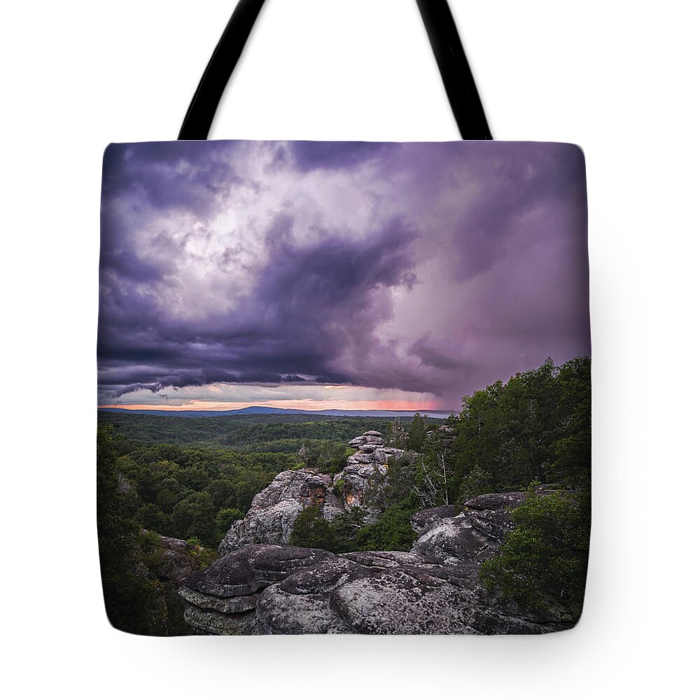 Storm Tote Bag featuring the photograph Garden Storm by Grant Twiss