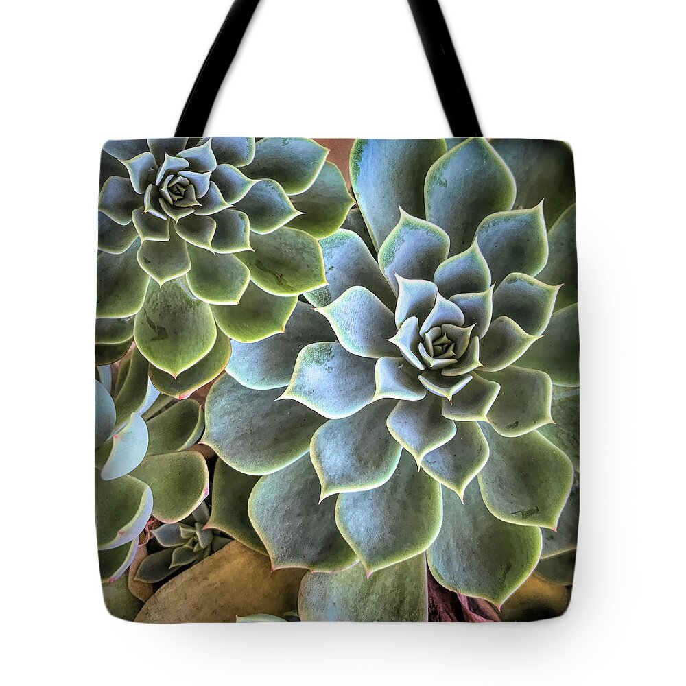 Botanical Tote Bag featuring the photograph Garden Succulent Botanicals II by Debra and Dave Vanderlaan