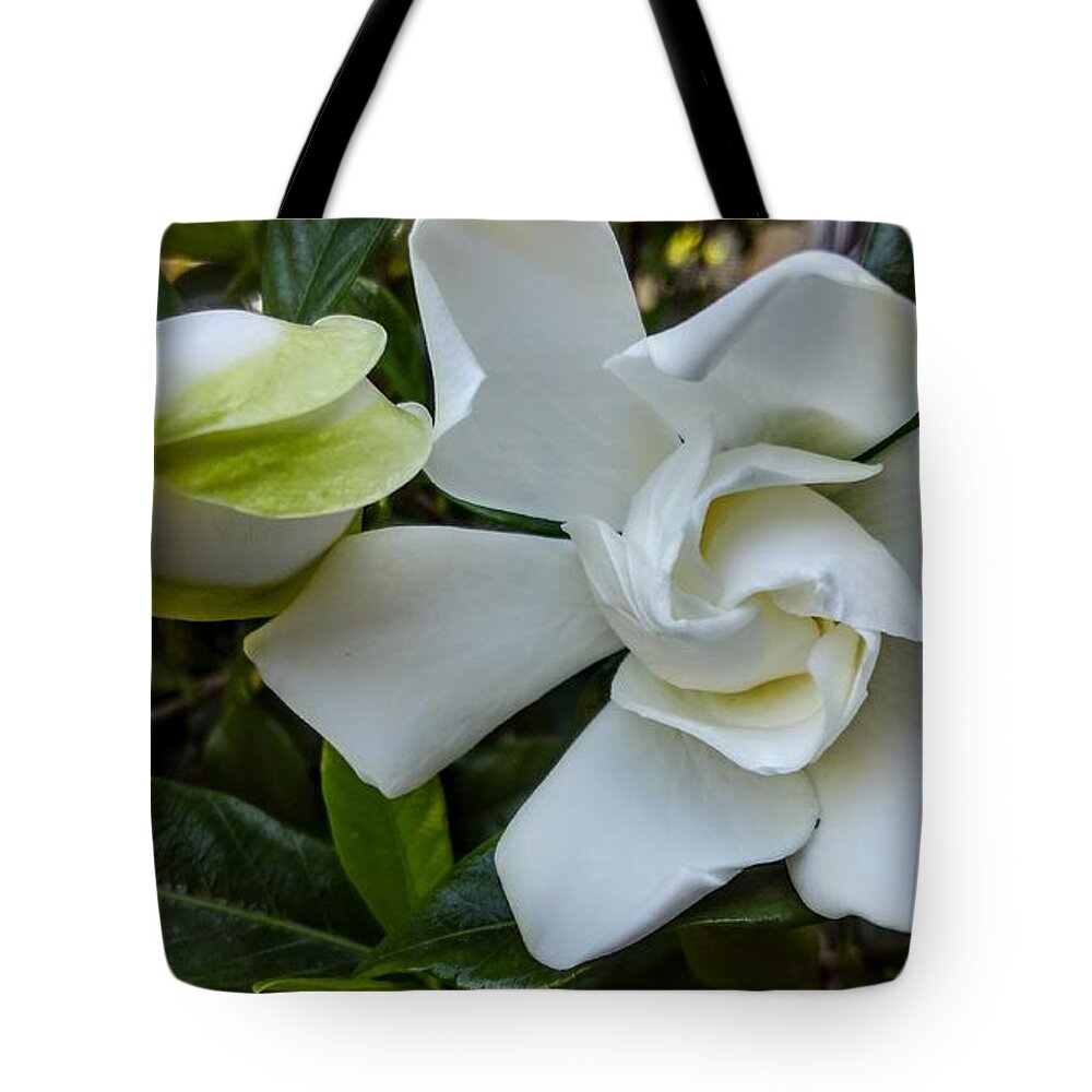  Tote Bag featuring the photograph Gardenias by Heather E Harman