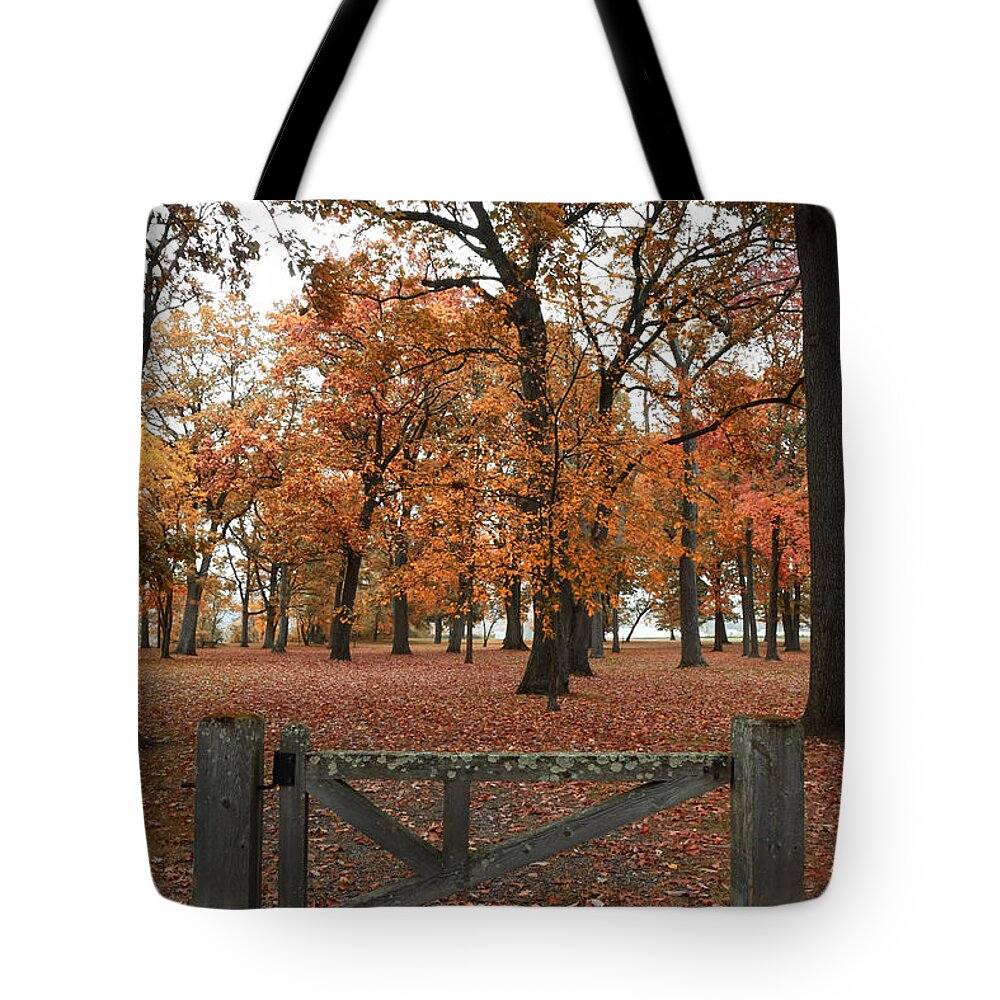  Tote Bag featuring the photograph Gates to fall by Natalia Baquero