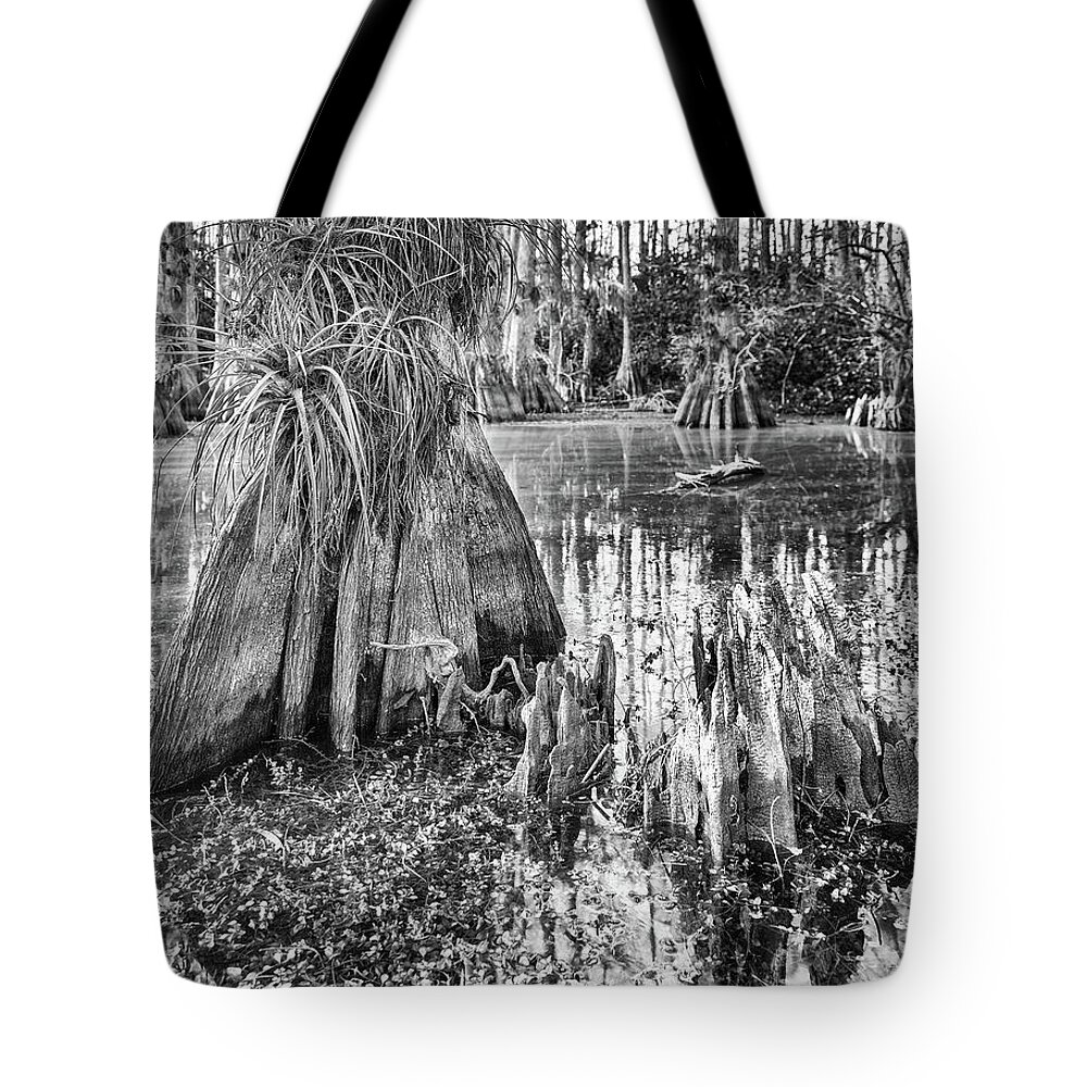 Big Cypress National Preserve Tote Bag featuring the photograph Gator Hook Dead Cypress by Rudy Wilms
