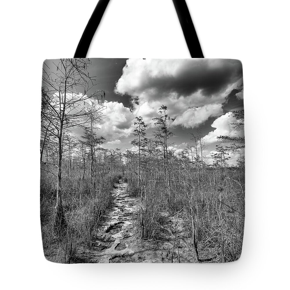 Gator Hook Tote Bag featuring the photograph Gator Hook Trail Limestone by Rudy Wilms