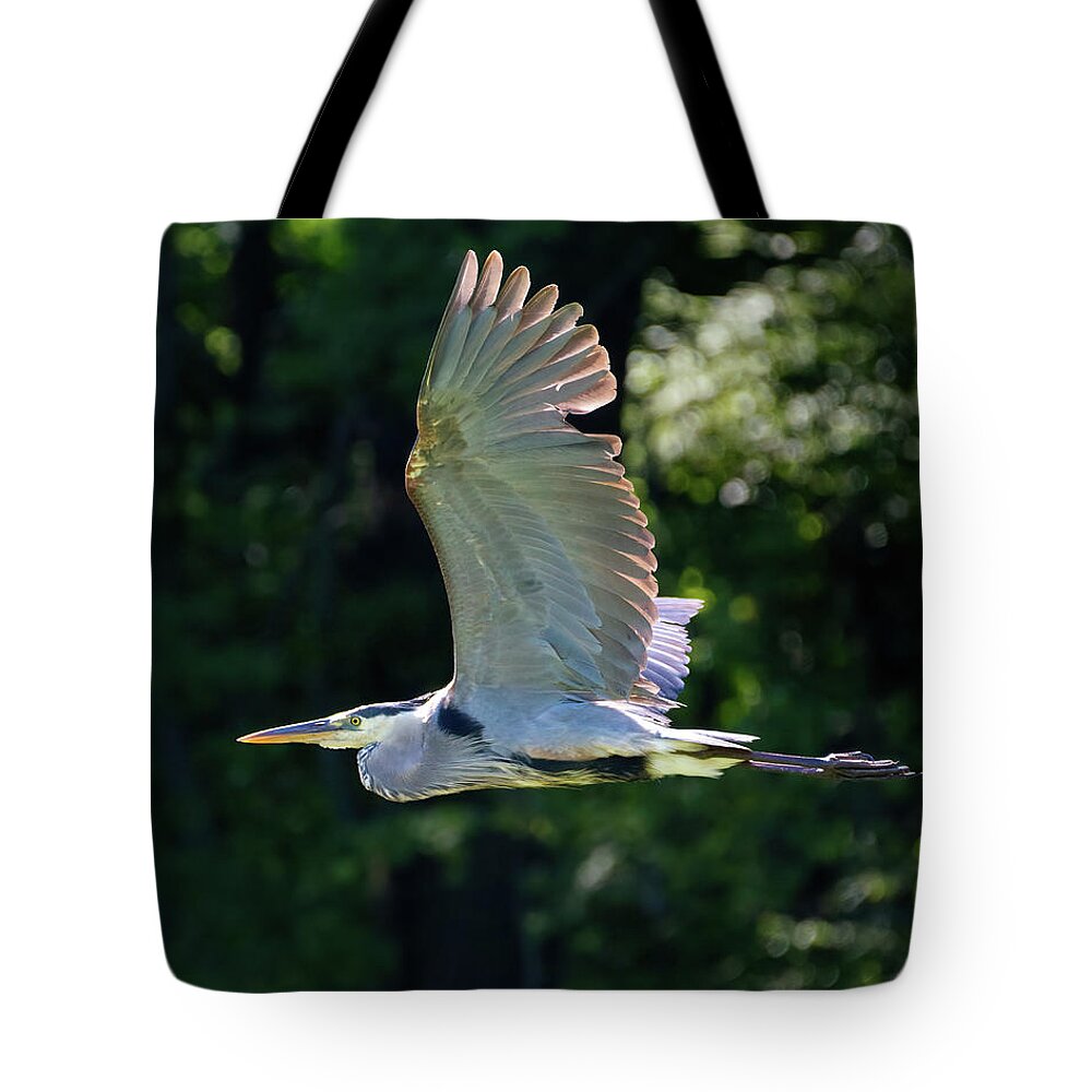 Heron Tote Bag featuring the photograph GBH Flying Low 3 by Flinn Hackett