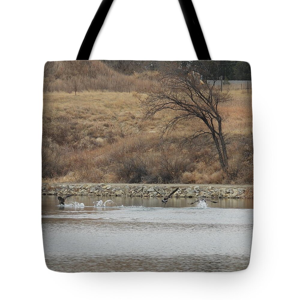 Geese Tote Bag featuring the photograph Geese Fighting by Amanda R Wright