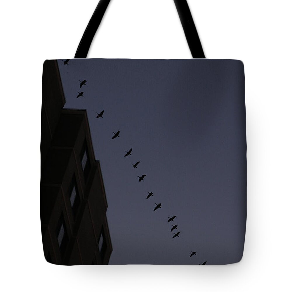 Flying Geese Geese Flying Sunrise Dawn Dark Blue Morning Highrise Tote Bag featuring the photograph Geese Fly over Landmark Just Before Dawn March 3 2021 by Miriam A Kilmer