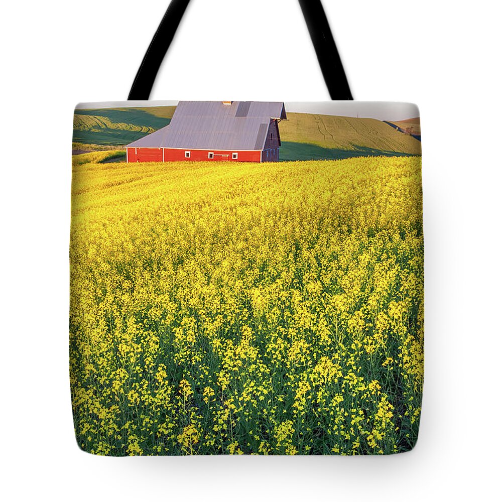 Outdoors Tote Bag featuring the photograph Genesee Canola and Barn II by Doug Davidson