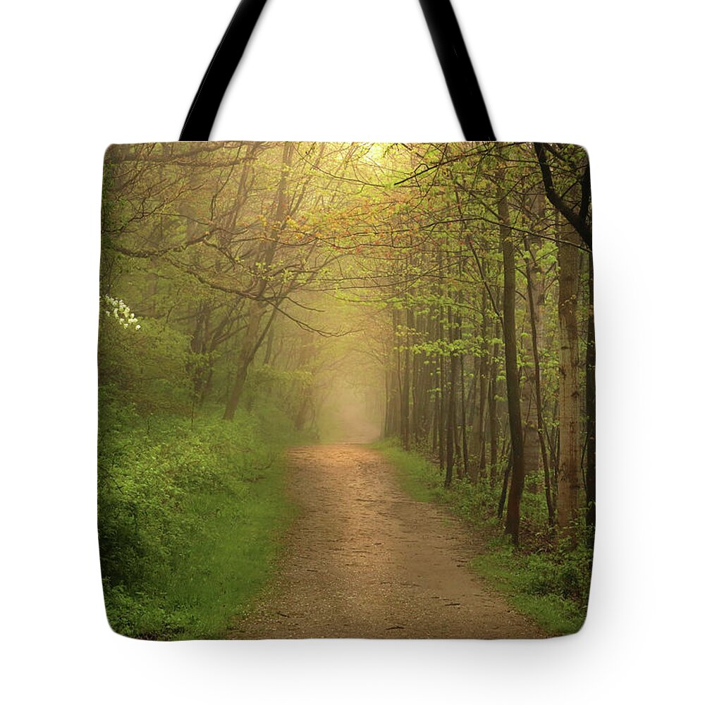  Tote Bag featuring the photograph Gentle Calling by Rob Blair