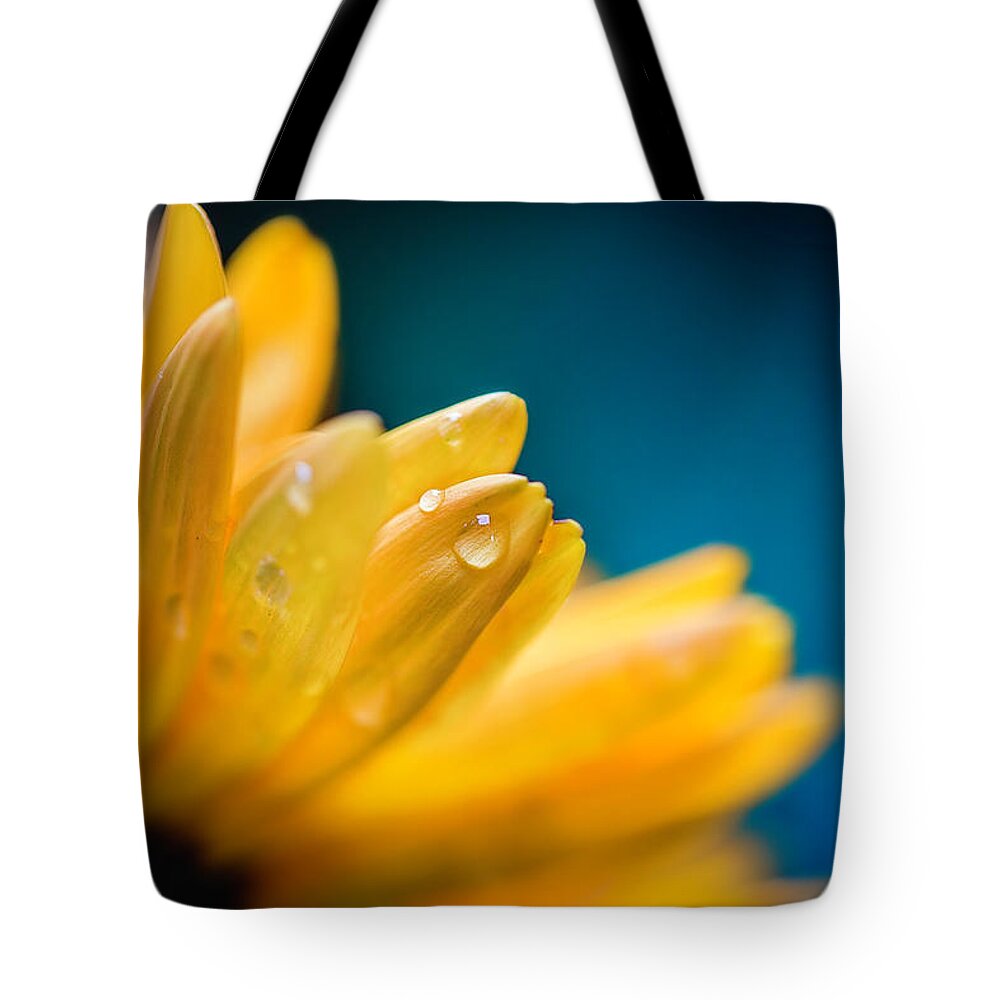  Tote Bag featuring the photograph Gerber Daisy Love by Nicole Engstrom