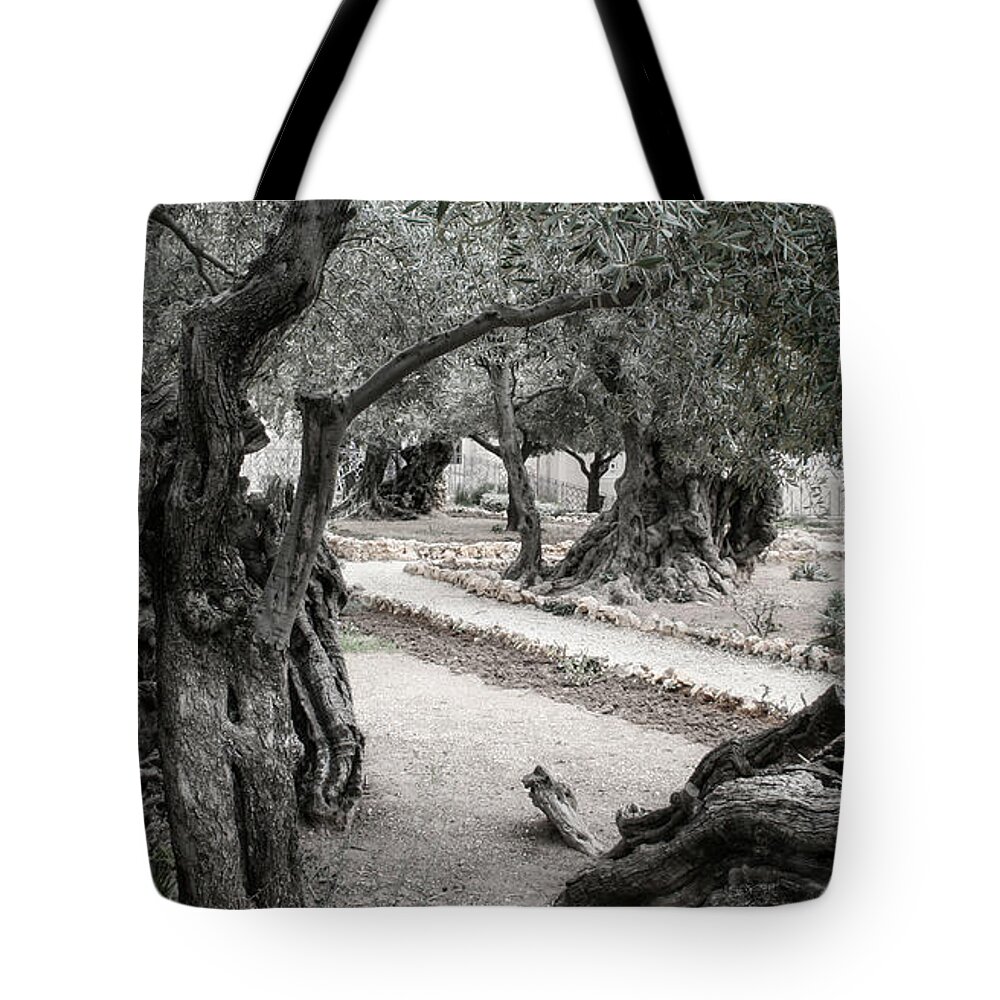 Israel Tote Bag featuring the photograph Gethsemane by M Kathleen Warren