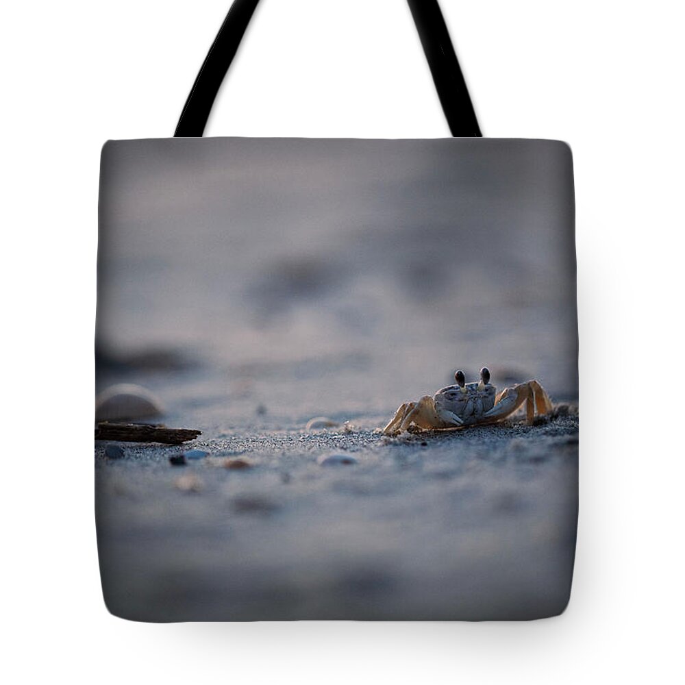 Wall Art Tote Bag featuring the photograph Ghost Crab by Marlo Horne