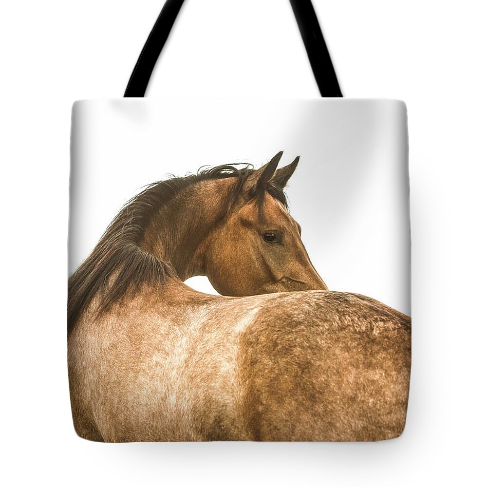 Photographs Tote Bag featuring the photograph Ghost - Horse Art by Lisa Saint