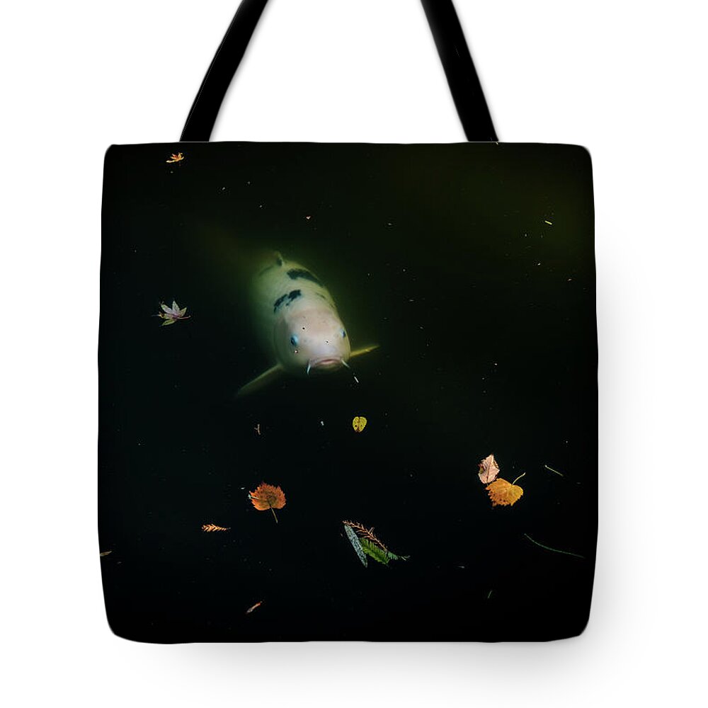 Koi Tote Bag featuring the photograph Ghost Koi by Johnny Boyd
