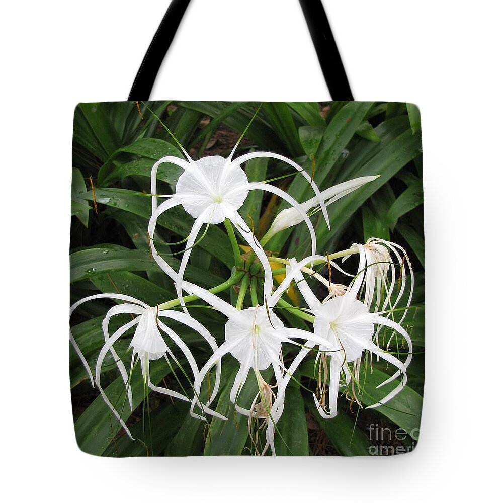 Ghost Flowers Found In Asia. Tote Bag featuring the photograph Ghosted by World Reflections By Sharon