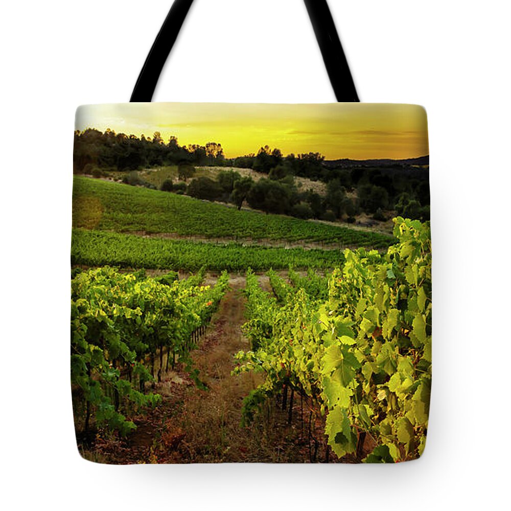 Vineyard Tote Bag featuring the photograph Gianelli Vineyard 2 by Gary Johnson