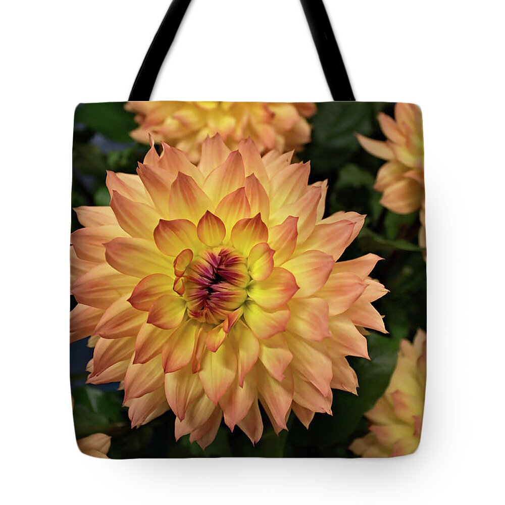 Flower Tote Bag featuring the photograph Giant Dahlia by Loyd Towe Photography