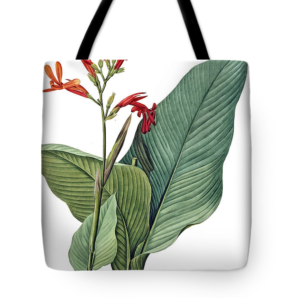 Giant Tote Bag featuring the digital art Giant Flower with Green Leafs by Long Shot
